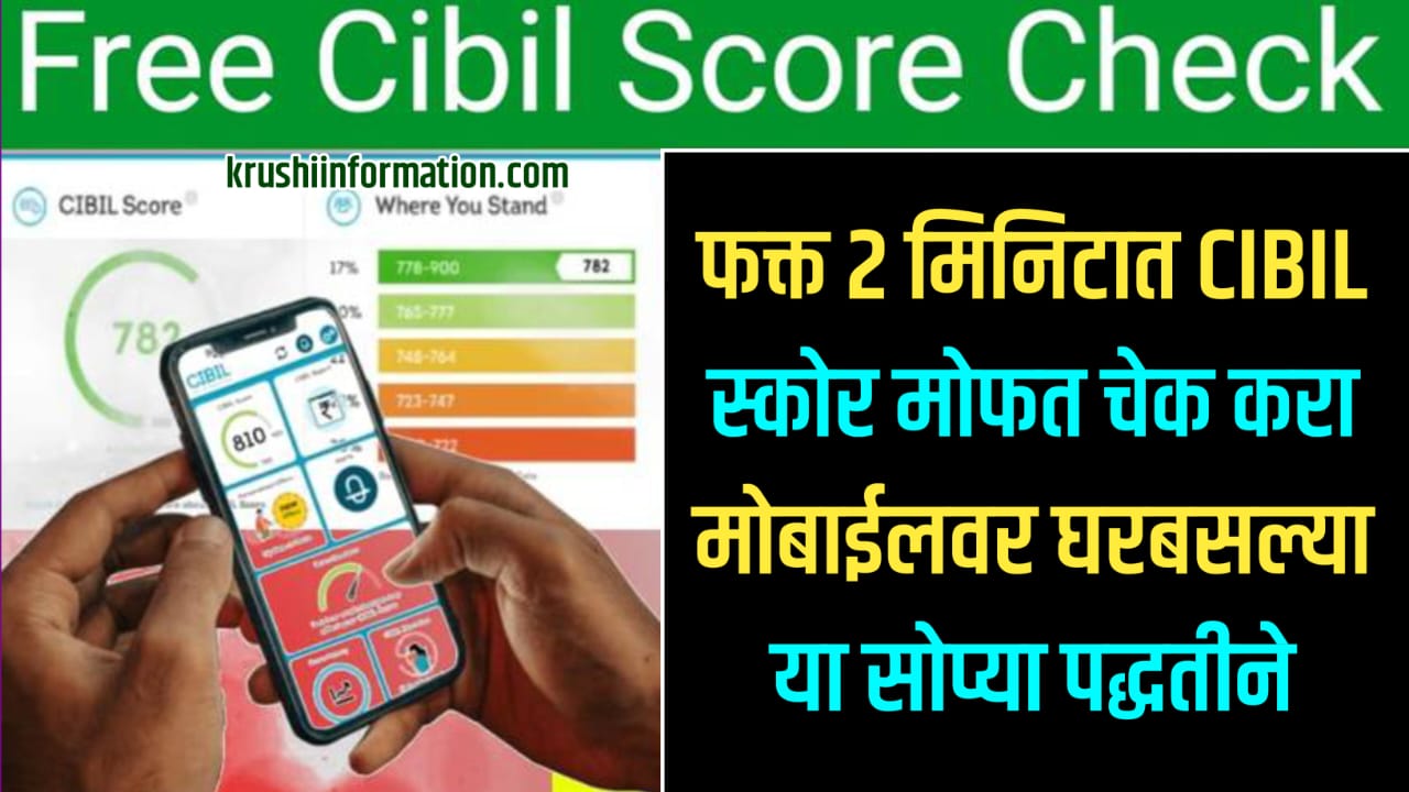 CIBIL Score Check