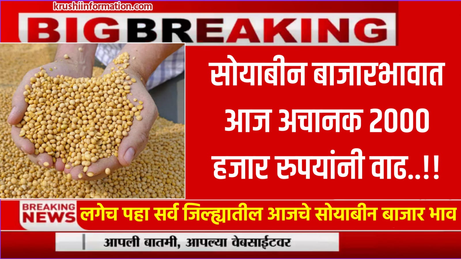 Soyabean Rate Today