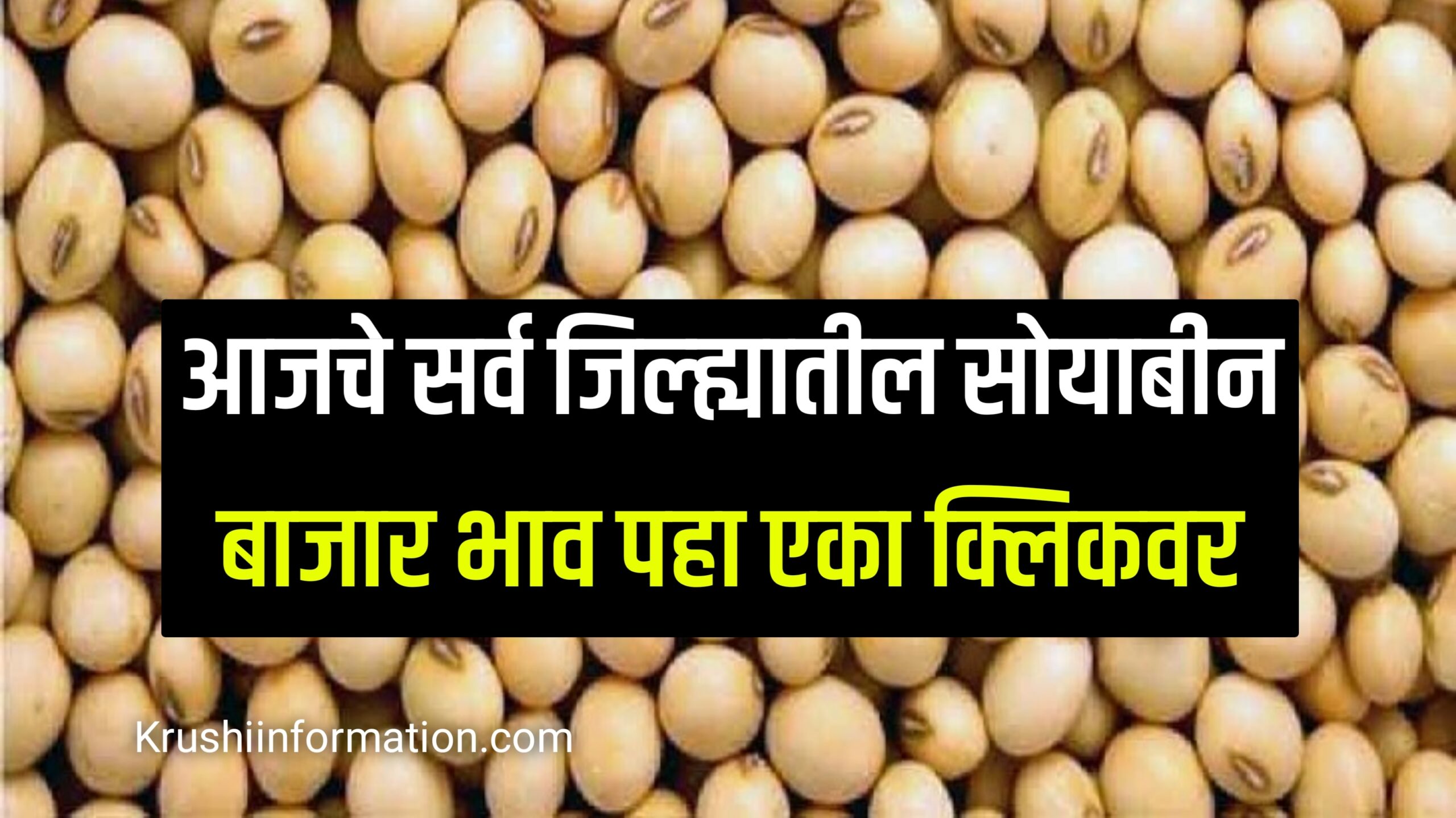 Soyabean Rate Today